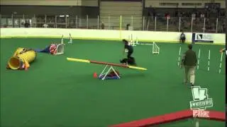 AKC World Team Tryouts 2015