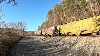 Norfolk Southern general manifest 177 heads thru South Waters  