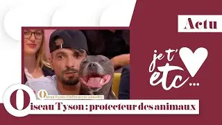 Oiseau Tyson - Influenceur et protecteur des animaux - Je t’aime etc S03