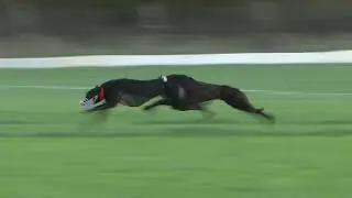 Cool Spirit Books Champions Stakes Ticket