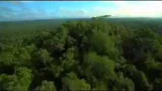 Los templos perdidos de los mayas