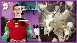 Life Diversity! | MakerFun TV Season 2, Episode 5