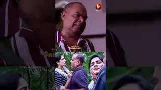 👆எத்தனை தடவை சொன்னாலும் புரிய மாட்டேங்கது 😜😍Chathuram #shorts #swasika