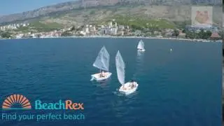 BeachRex 5