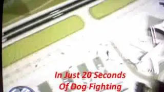 GREMLIN-EVO Flying #3 (RedDOT_SNiPER OWNED)
