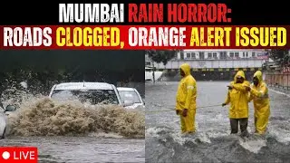 Mumbai Rain Fury LIVE: Massive Rain Lashes Mumbai; Roads Clogged, IMD Issues Orange Alert