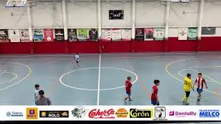Transmisión en directo de Farolillo Rojo