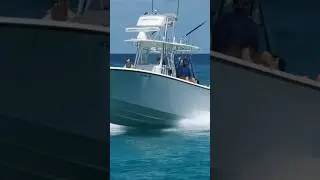 SeaVee with a fast, flawless entry #summer #boating #fishing #boca #miami #summervibes