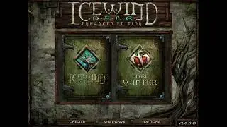 08 The Dead Zone (Icewind Dale: Enhanced Edition)