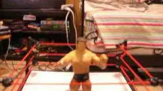 WWE Taunts