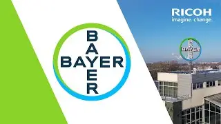 Case study BAYER