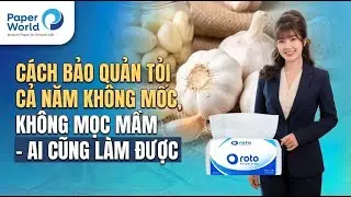 Cách Bảo Quản Tỏi Cả Năm Không Mốc, Không Mọc Mầm – Ai Cũng Làm Được