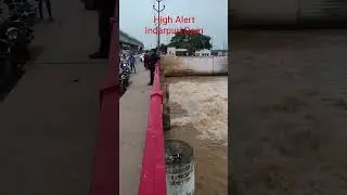 High Alert Indarpuri Dam Son Nadi 😈👿 #dehri_on_sone #sasaram #tilouthu #viral #viralvideo #nature
