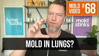 How do I deal with mold in my lungs?