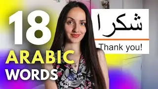 Learn Arabic with Anki flashcards *for beginners*