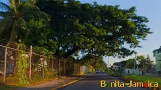 Driving From New Kingston To Norman Manley Internation al Airport Via The Scenic Route