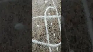 #ragoli