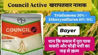 Council Active Herbicide Bayer Triafamone 20% + Ethoxysulfuron 10% WG)