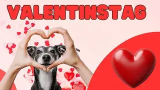 Valentinstaglied | Song f&uuml;r den Valentinstag mit Text zum Mitsingen