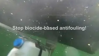 Brushing biocides