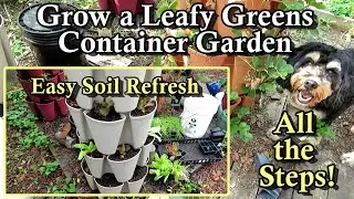 Planting a September & Fall Leafy Greens Lettuce Container Garden: Vertical Gardening All the Steps!