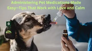 Administering Pet Medications Made Easy&mdash;Tips That Work with Love and Calm#PetMedicationTips