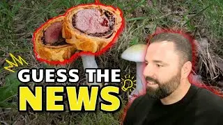Poison Beef Wellington, Guess the News! #news #gameshow