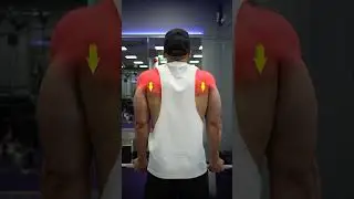 The Perfect Barbell Bicep Curl (DO THIS!)