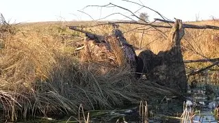 Duck hunting 2016 (sneak/layout boat build)