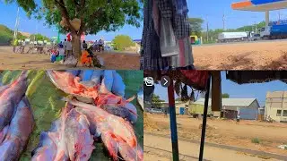 VILLAGE MARKET: See Fish Markets in the African Market and Open Air Market 