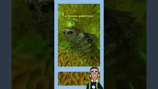 #peixe #parasitas #digestao #curiosidades #biologia #ciencia #vocesabia