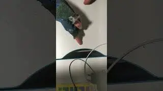 Мои перчи и два стинга!