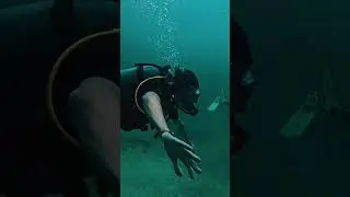 a good guide, means a good dive🤿👌🏼😁