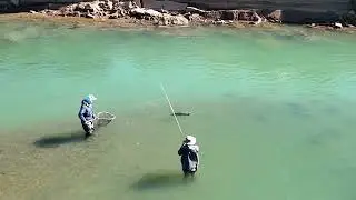 Jurassic Aquarium Pool