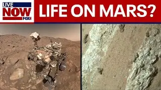 NASA Mars Rover finds potential signs of ancient life