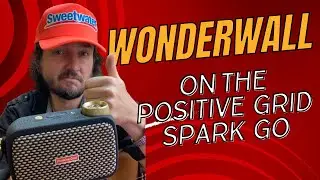 Review of the Positive Grid - Spark Go, with a Left-Handed Godin A6 Ultra