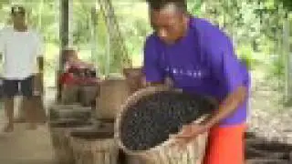 MonaVie an Extraordinary Process
