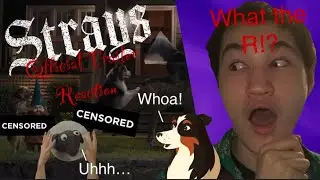 This R rated Talking dog movie is WILD!{Strays}TRAILER REACTION!