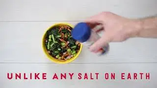 Real Salt Brand Sea Salt Unlike Any Salt On Earth