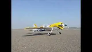Sukhoi SU-31 from Great Planes