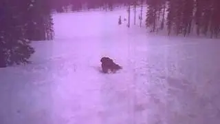 Upside-down-backwards self-arrest technique Gooch