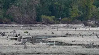 After the Dam Break at Smithtown's New Mill Pond