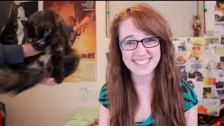 Felines, Street Signs, and Jelly.