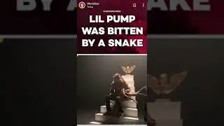 ILLUMINATI SNAKE BITES LIL PUMP IN THE HAND MUST WATCH !!!!