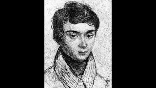 Galois Theory: Insolveability of the Quintic by Radicals (Supplementary Notes To Channel Aelph 0)