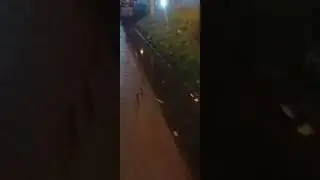 Op&scaron;ti problem Krnjača. Da li je ovo normalno? 7.Nov.2022 17h27m🤔📹🎤🥁