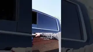 Практика валки деревьев