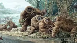 Gigantopithecus - Le Plus Grand Singe Ayant Jamais Exist&eacute;! / Documentaire (Fran&ccedil;ais/HD)
