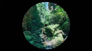Shroomyland - Heartbreak
