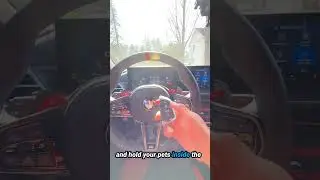 Leave Pets in Your BMW Without Triggering the Alarm (Secret Key Fob Trick!)